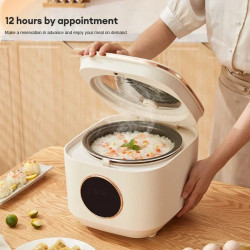 Panela elétrica de arroz inteligente BALASHOV - 5L, multifuncional e portátil